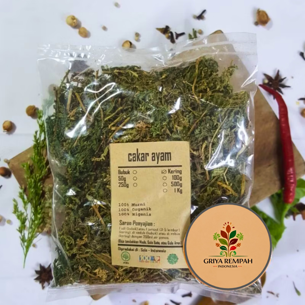 

DAUN CAKAR AYAM KERING 100 GRAM Alami – Rumput solo Ceker pitik Ramuan Rempah Herbal Jamu Tradisional Berkualitas Simplisia Selaginella doederleinii