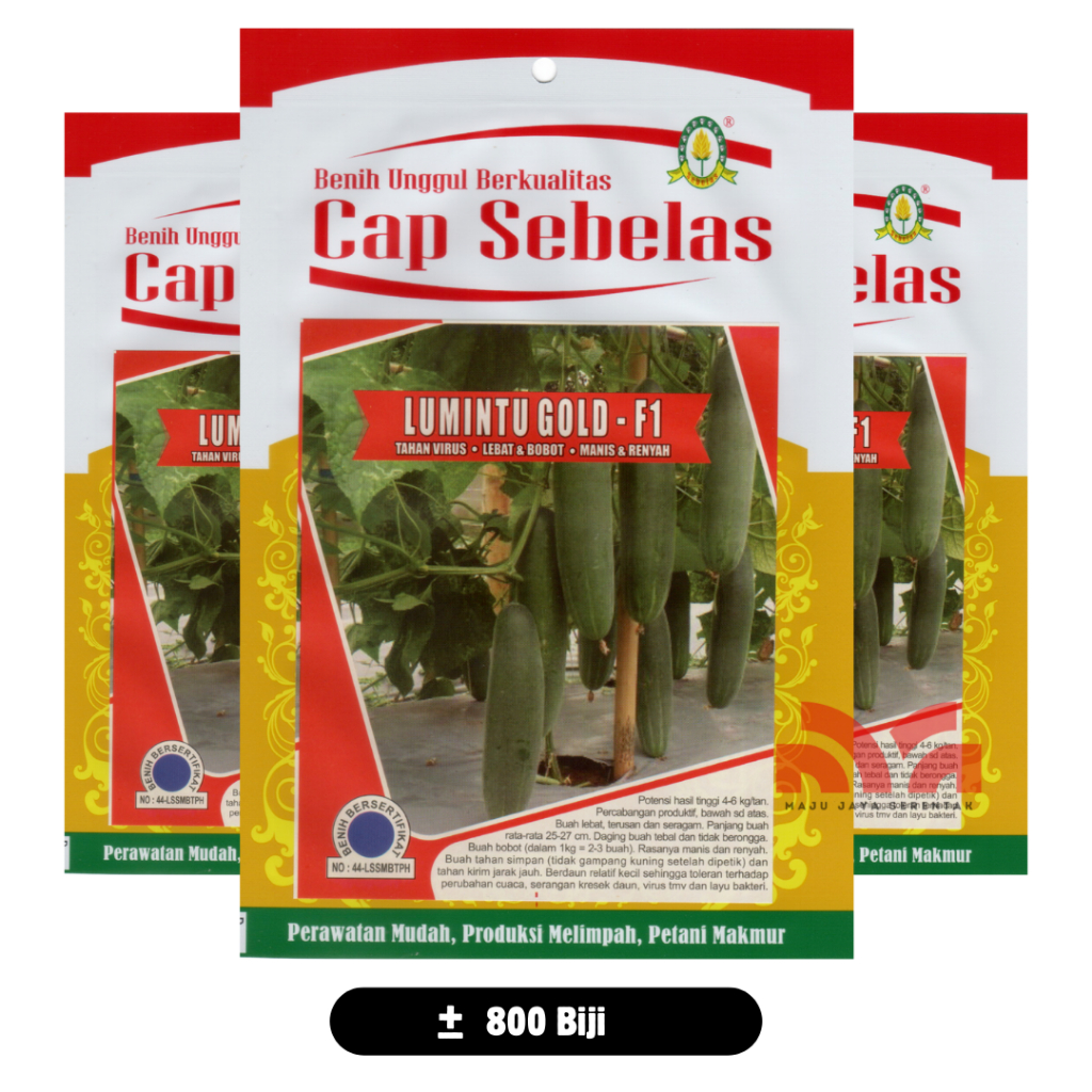 Timun Lumintu Gold F1 Cap Sebelas