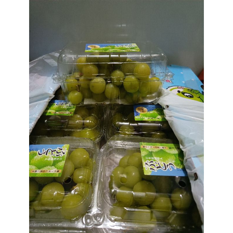 

Anggur Shine Muscat hijau 500gr