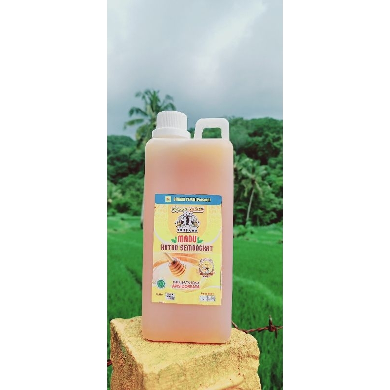 

MADU MURNI MADU ASLI MADU SUMBAWA MADU HUTAN SUMBAWA MADU MENTAH MURNI RAW HONEY BEST HONEY 1LITER HASIL PANEN PETANI MADU LOKAL DIAMBIL DARI HUTAN SUMBAWA