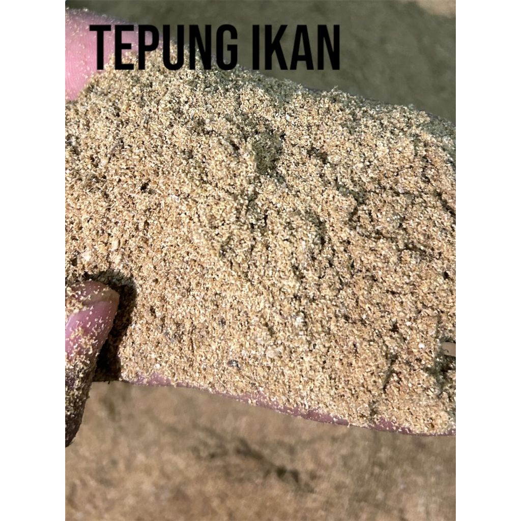 50 KG TEPUNG IKAN PROTEIN 50% CAMPURAN PAKAN TERNAK
