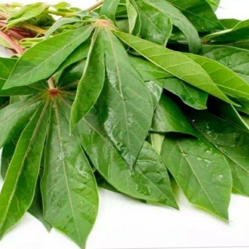 

daun singkong muda,segar ,,250 gram