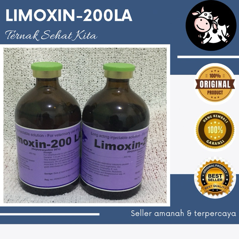 Limoxin 200 LA antibiotik PMK - antibiotik oxytetracyclin untuk sapi anjing kucing ayam