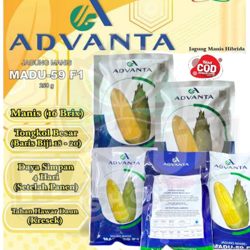 

ADVANTA MADU 59