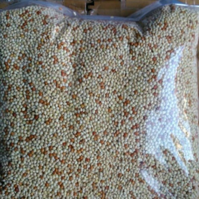 MILET PUTIH MIX MILET MERAH PAKAN BURUNG