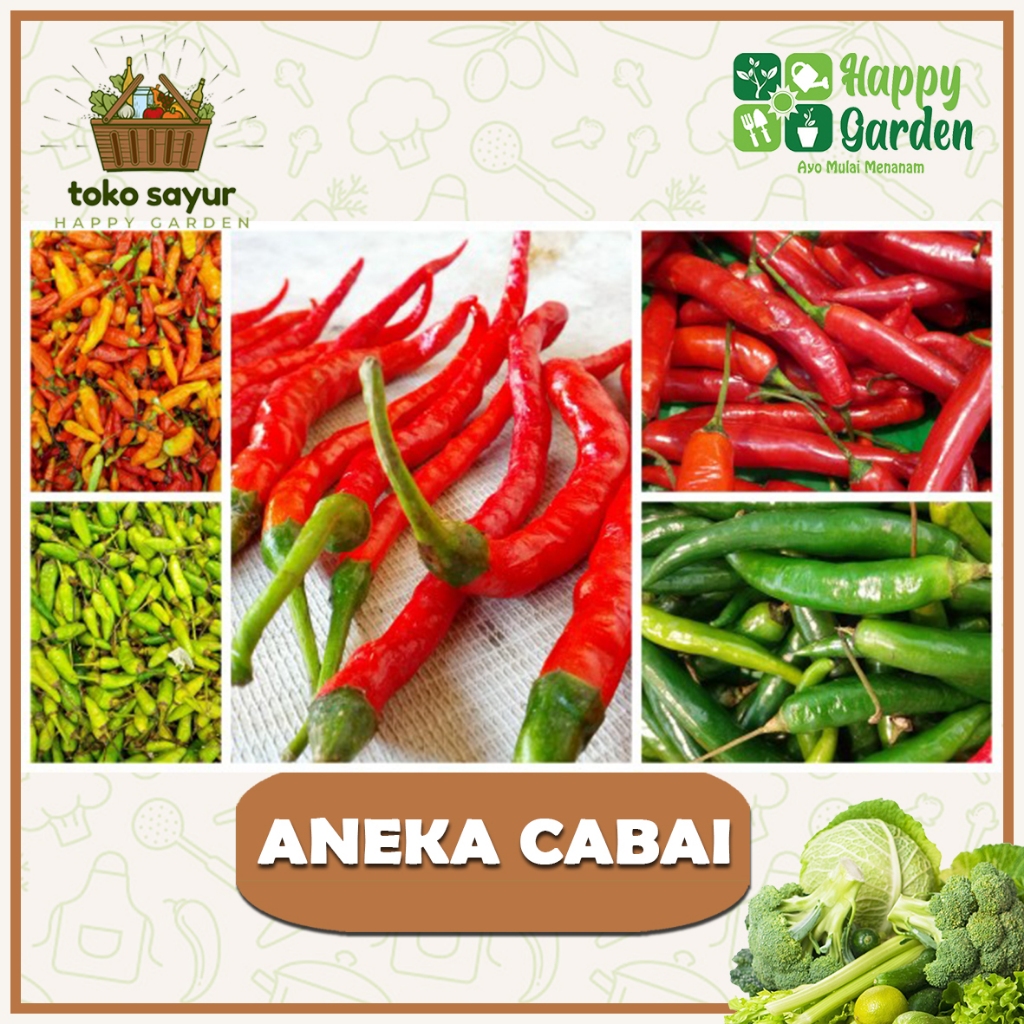 

ANEKA CABAI 100 GRAM SEGAR BERKUALITAS