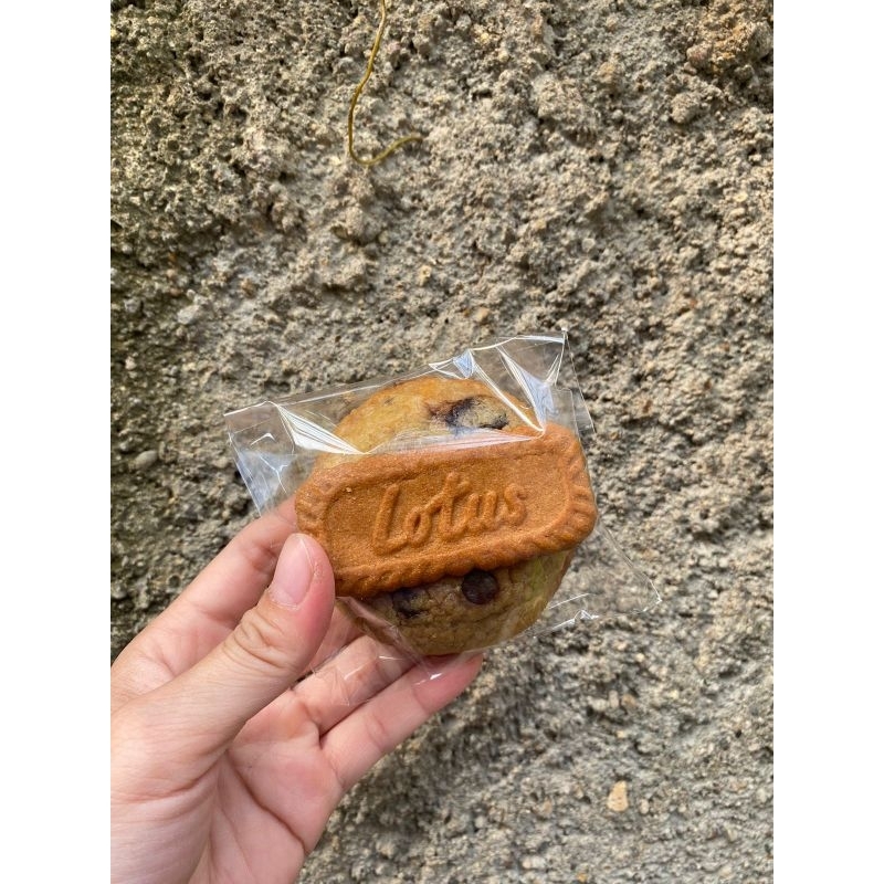 

LOTUS BISCOFF COOKIES