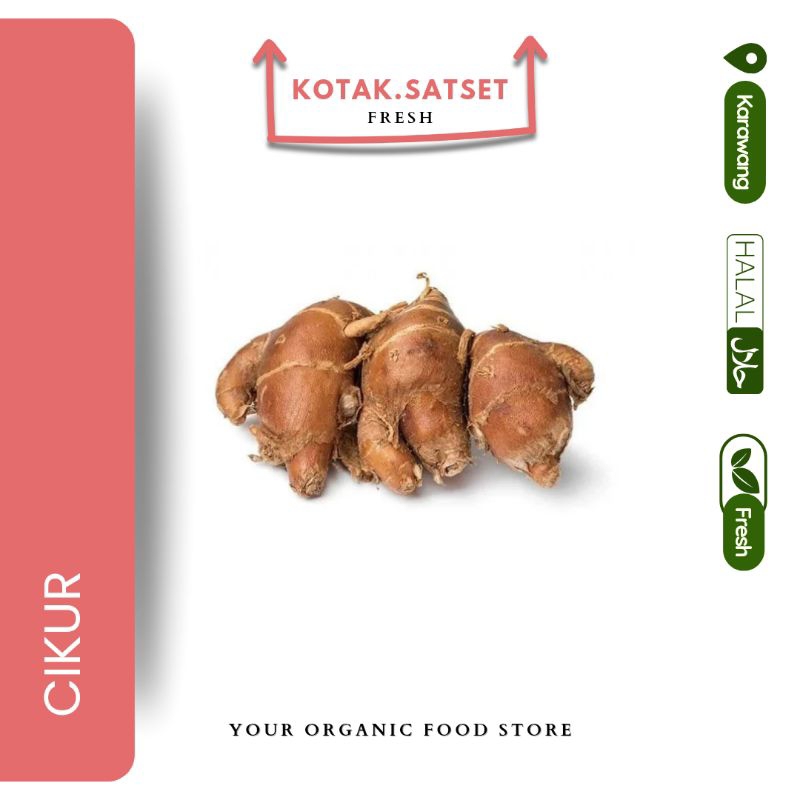 

Cikur Kotak Saset Fresh bumbu seblak cikur karawang