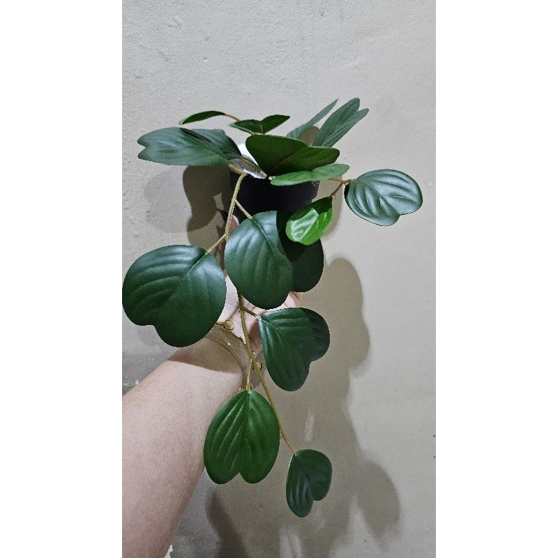 RB Fejka Tanaman Tiruan Dalam Pot Dalam/Luar Ruang Digantung/Peperomia Uk 9 Cm, Tanaman Hias,