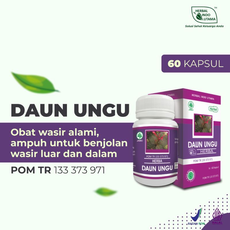 

KAPSUL DAUN UNGU Obat Herbal Wasir Ambeien Herbal Indo Utama 60 Kapsul