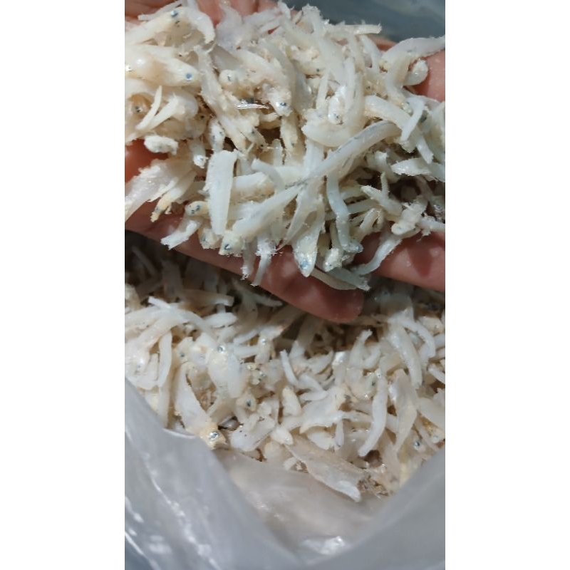 

1 KILOGRAM IKAN TERI NASI MEDAN