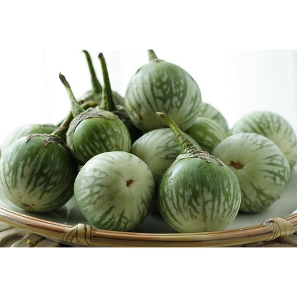 

[ 1 KG ] Terong Bulat - Terong Lalap Segar