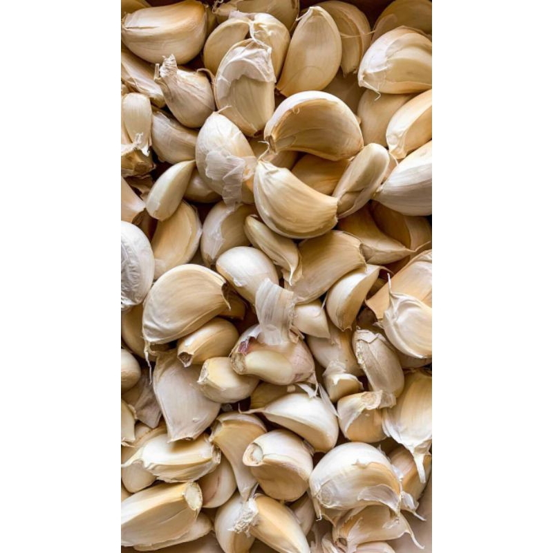 

BAWANG PUTIH KATING KUALITAS SUPER ISI 500GR