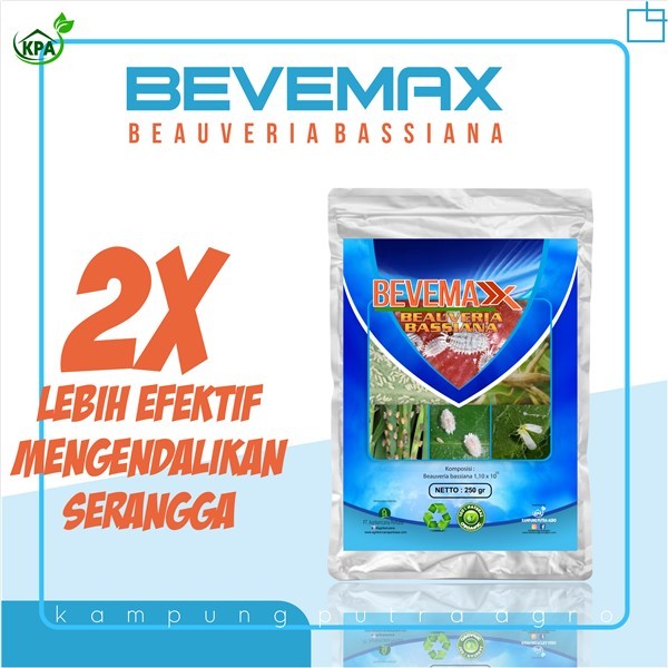 BEVEMAX BEAUVERIA BASSIANA-Pengendali Hama walangsangit,sundep,wereng,lembing,beluk,uret,ulat grayak