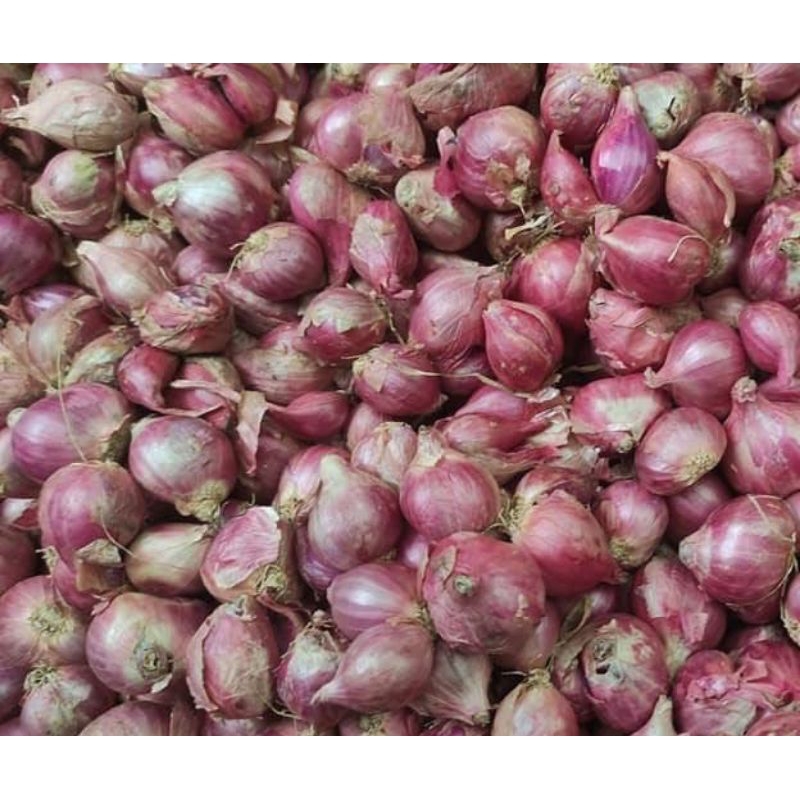 

Bawang Merah 1 kg/1000 gram