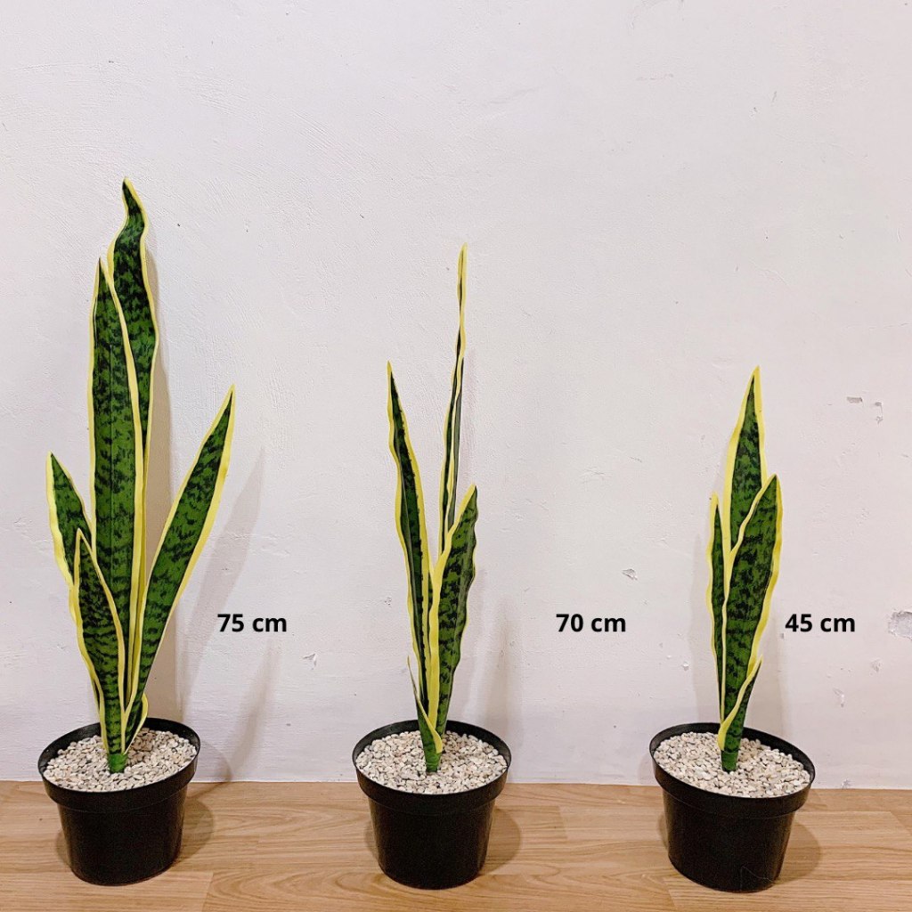 Sansivera Tanaman Lidah Mertua Artificial Dekroasi Tanaman Plastik