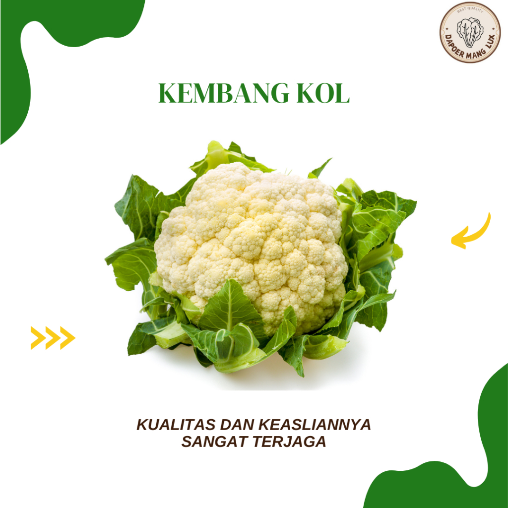 

DRIED SERBUK KEMBANG KOL BEST SELLER