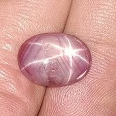 Star ☆ Ruby Unheated Dm 13.3x9.8x3.2 mm