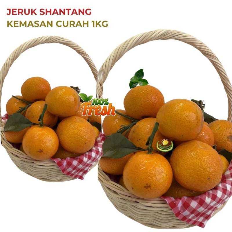 

Jeruk Shantang import segar - kemasan curah 1kg