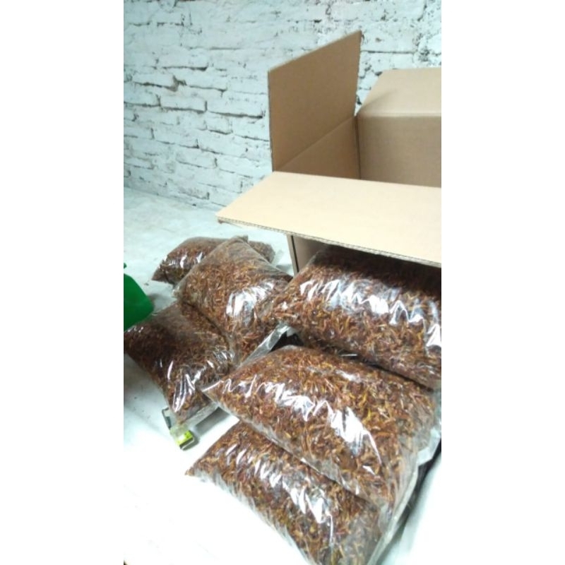

Belalang Goreng 1kg