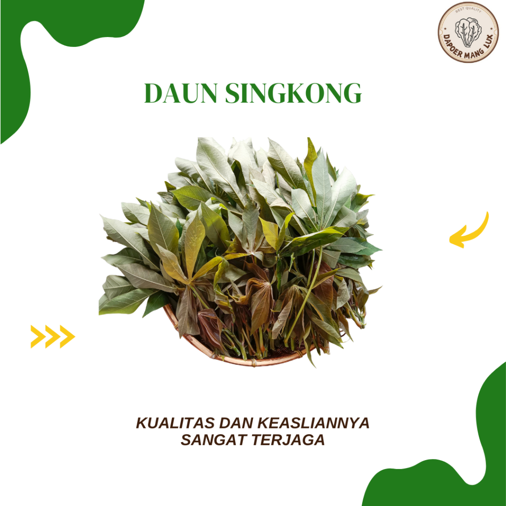 

EKSTRAK DAUN SINGKONG BEST SELLER