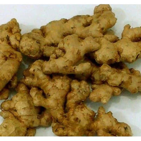 

Jahe emprit segar 1kg