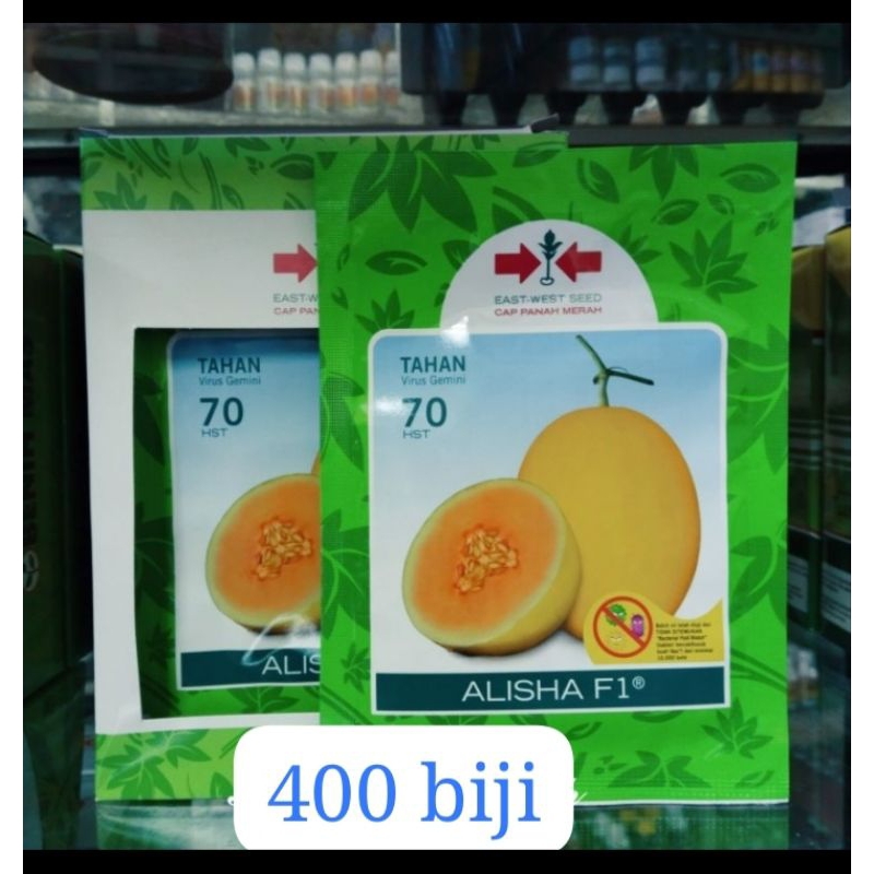 BENIH MELON ALISHA F1 400 BIJI ( 25 GRAM) MELON GOLDEN