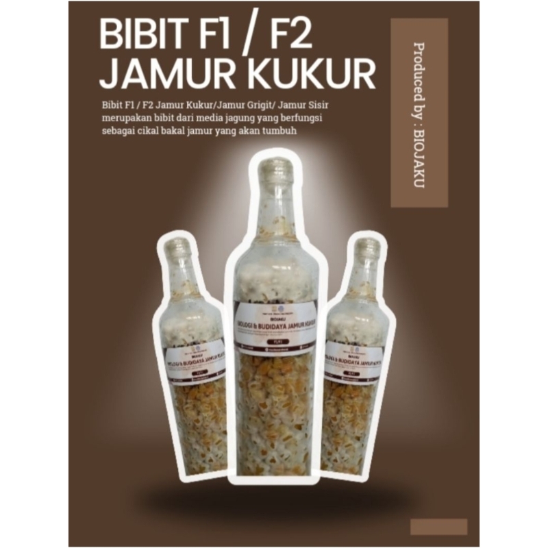 

Bibit F1/F2 Jamur Kukur/Grigit/Sisir/Schizophyllum commune