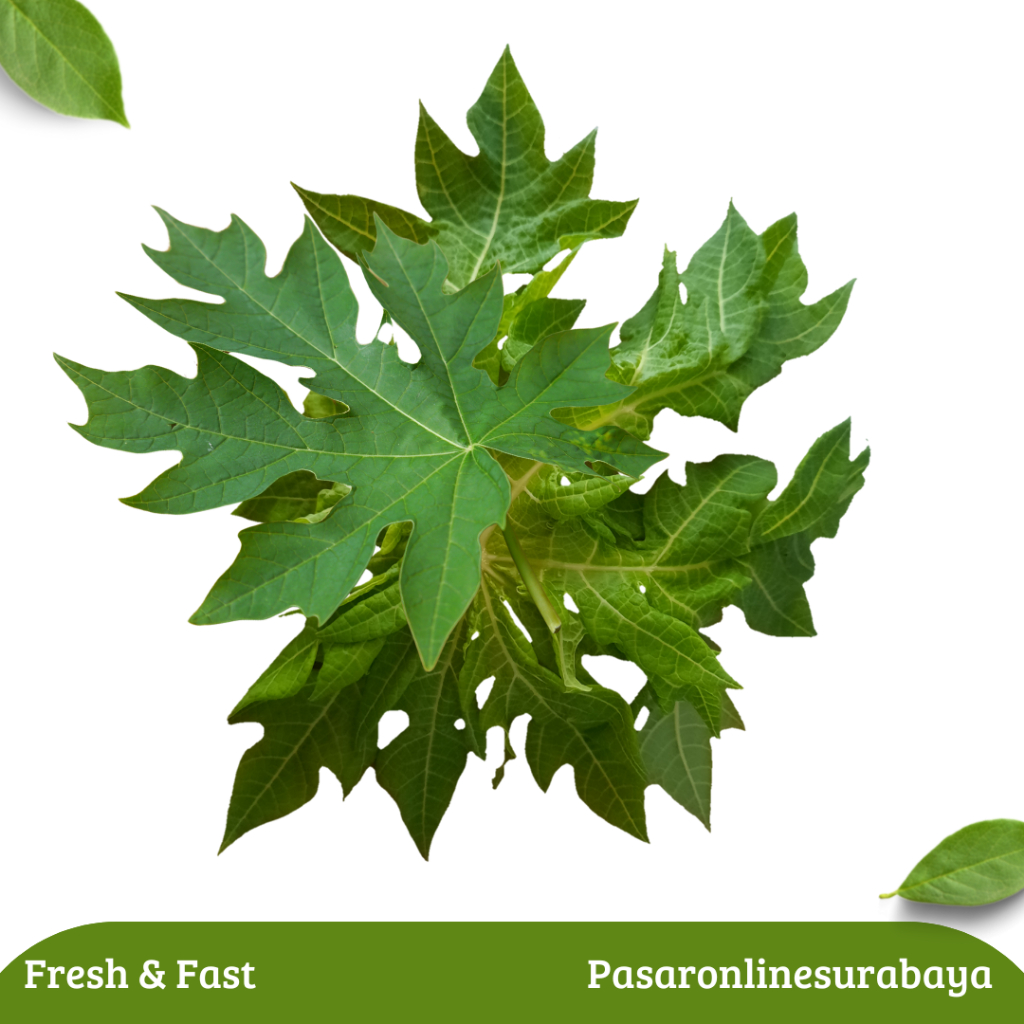 

Daun Pepaya 150 Gram Daun Pepaya Segar