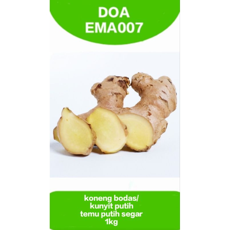 

koneng bodas/kunyit putih/temu segar 1kg