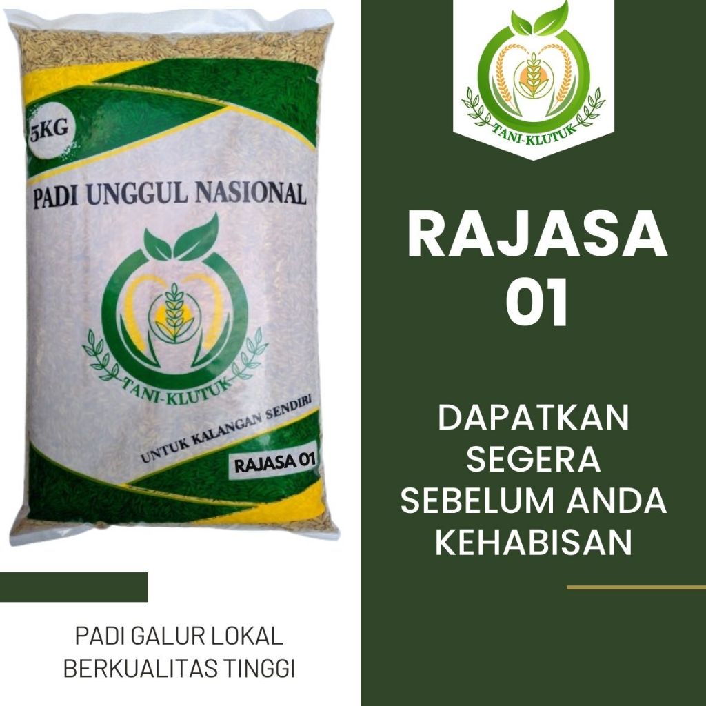 benih padi rajasa 01 5kg