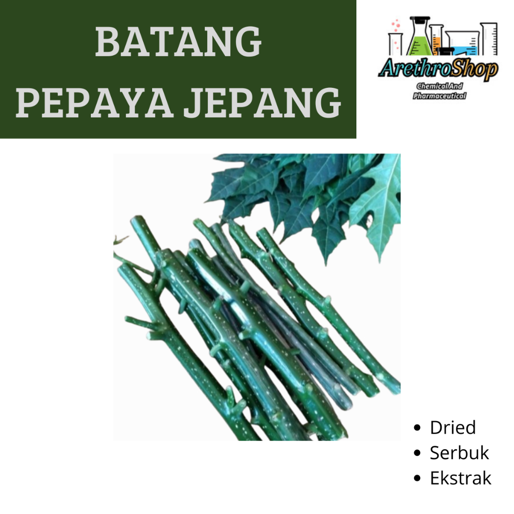 

EKSTRAK BATANG PEPAYA JEPANG 10 GRAM BEST PRODUCT