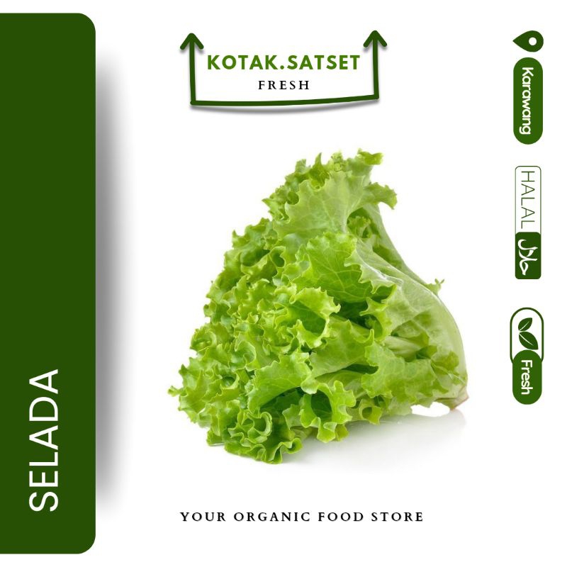 

Selada Kotak Saset Fresh Halal
