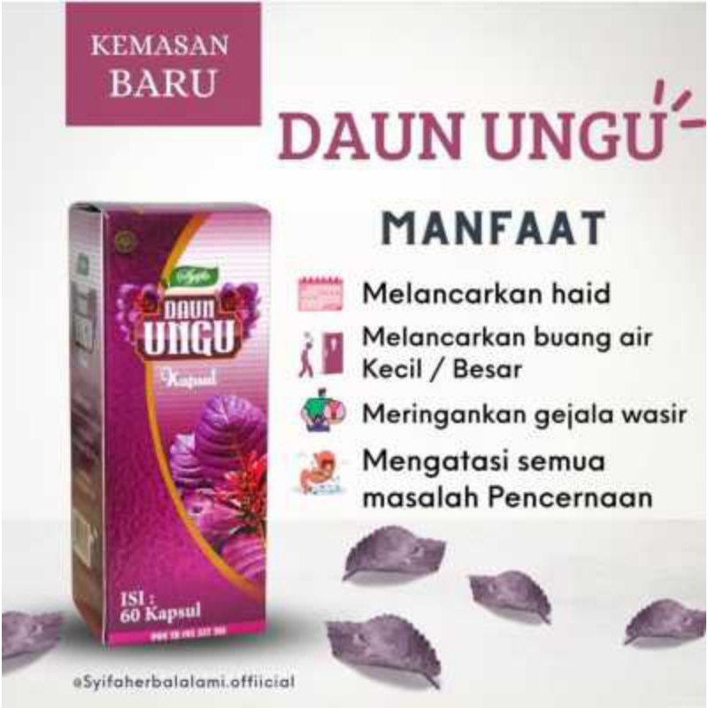 

Ekstrak Daun Ungu obat herbal wasir,ambeien