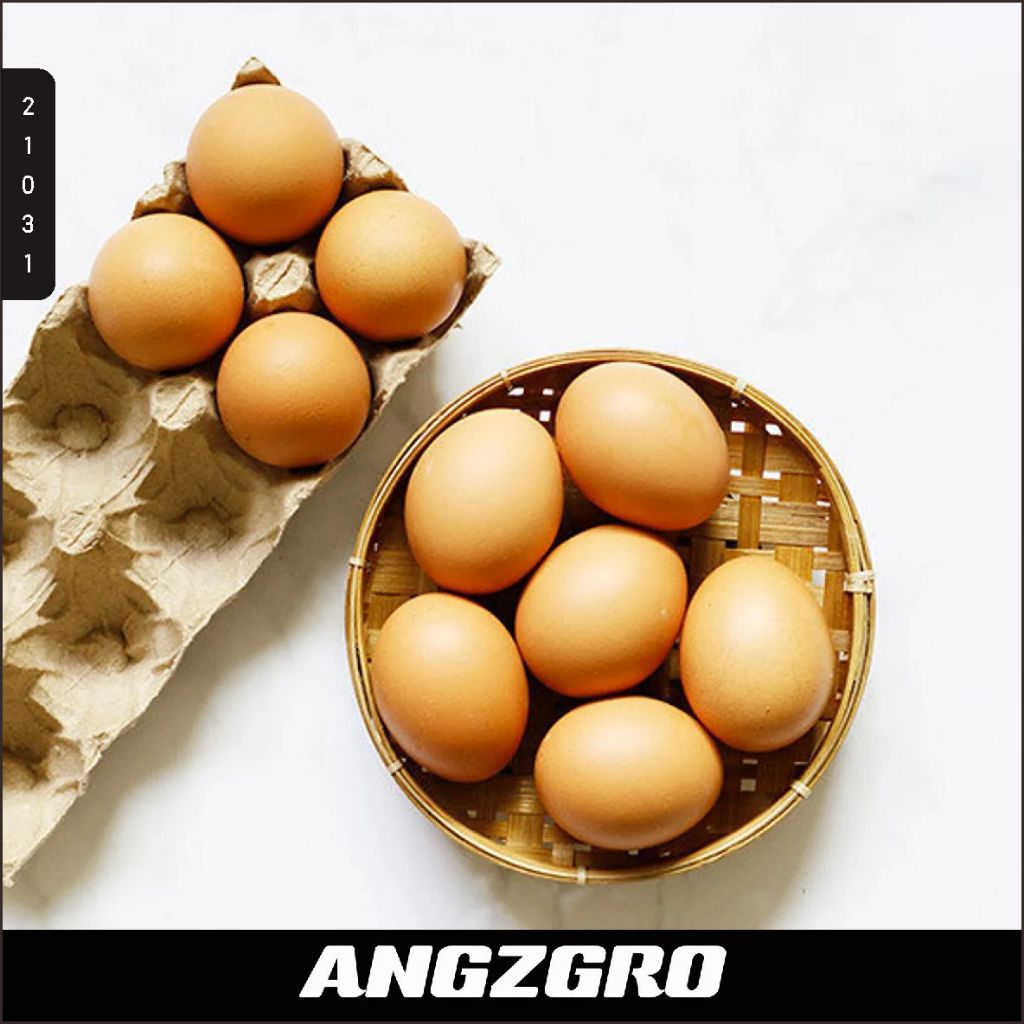 

Telur Ayam 10 Pcs