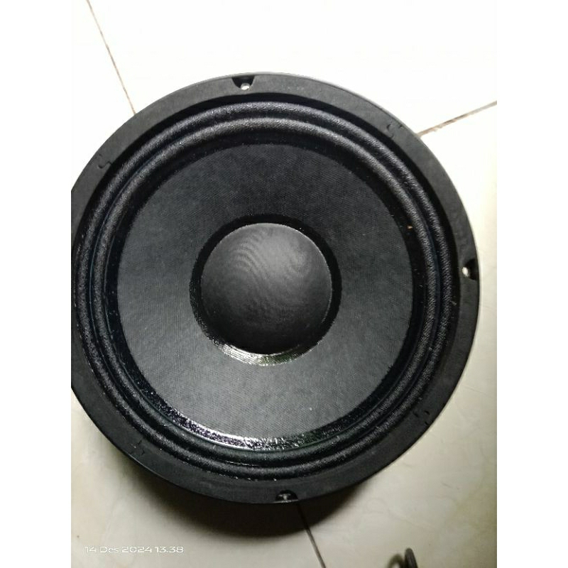 speaker soundqueen 10inch