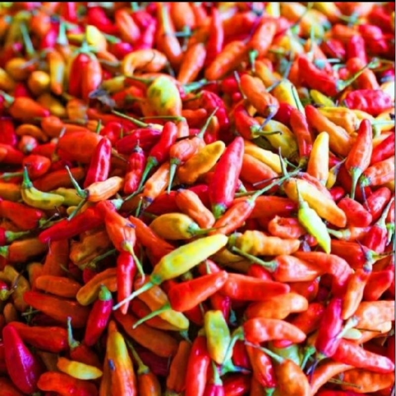 

Cabe / Cabai Rawit Merah 500 gr