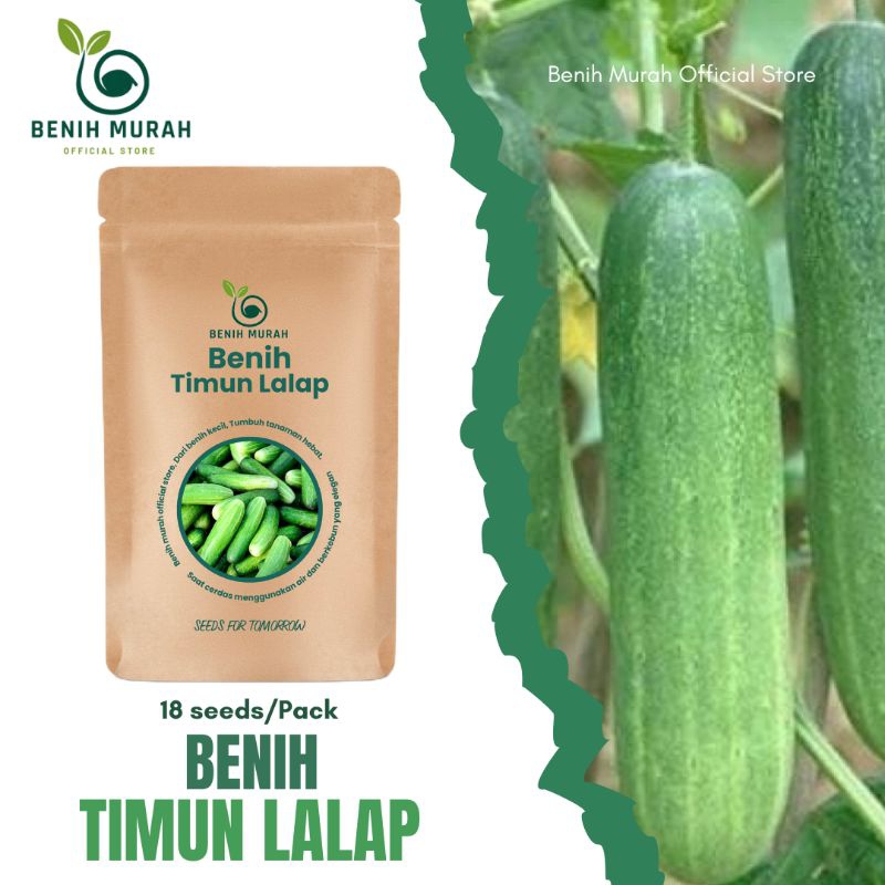 

Biji Unggul Timun Lalap /Bibit Benih Timun Lalap Sayur Unggul Terbaik