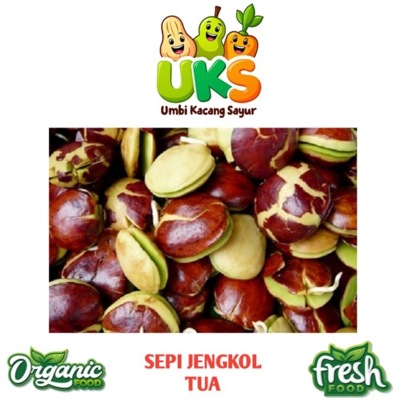 

Sepi Jengkol Tua Super Fresh 1kg