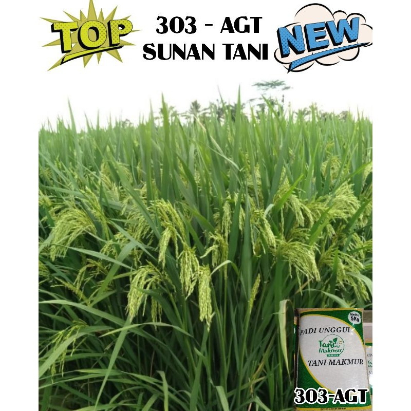 BENIH PADI 303 AGT 5KG BARU ORIGINAL