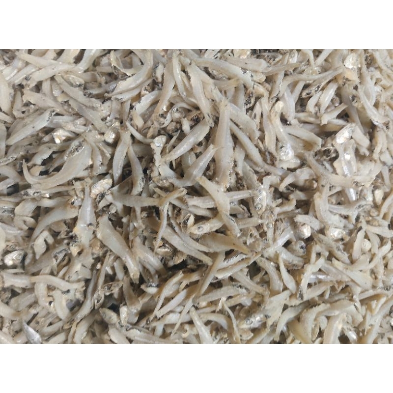 

teri buntio 55.000 termurah