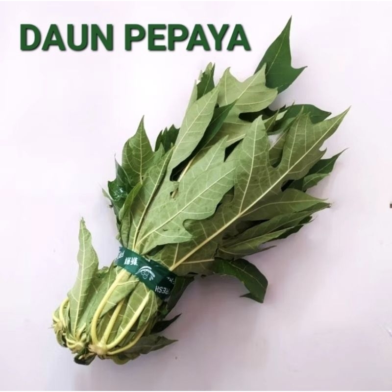 

Daun Pepaya Segar 1 ikat