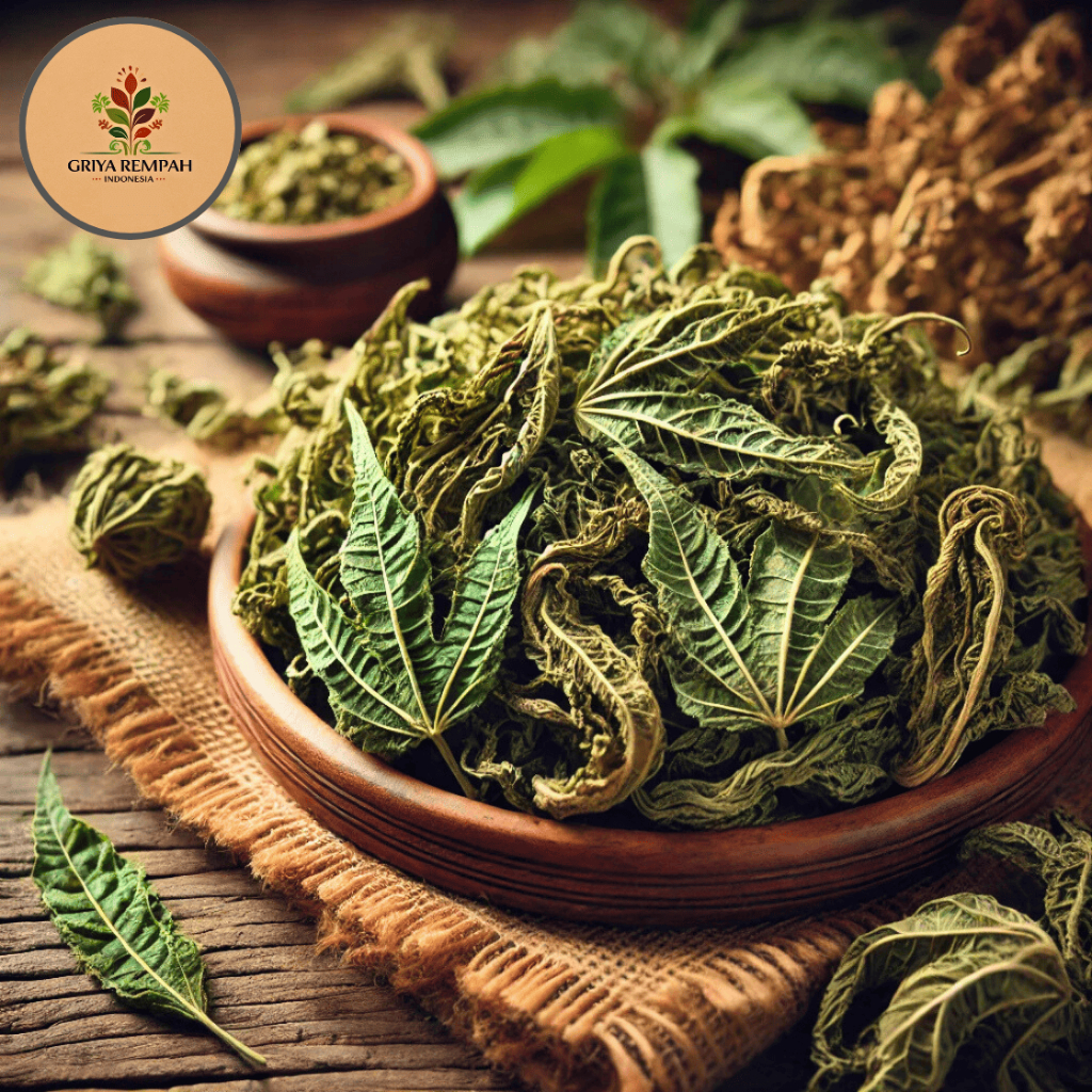 

DAUN DEWA KERING 100 GRAM – Samsit Ramuan Rempah Herbal Alami untuk Kesehatan dan Kamu Tradisional Vitalitas Tubuh Simplisia Gynura divaricata