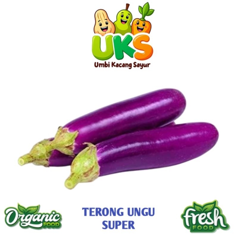 

Terong Ungu Super Fresh Segar 500 gram