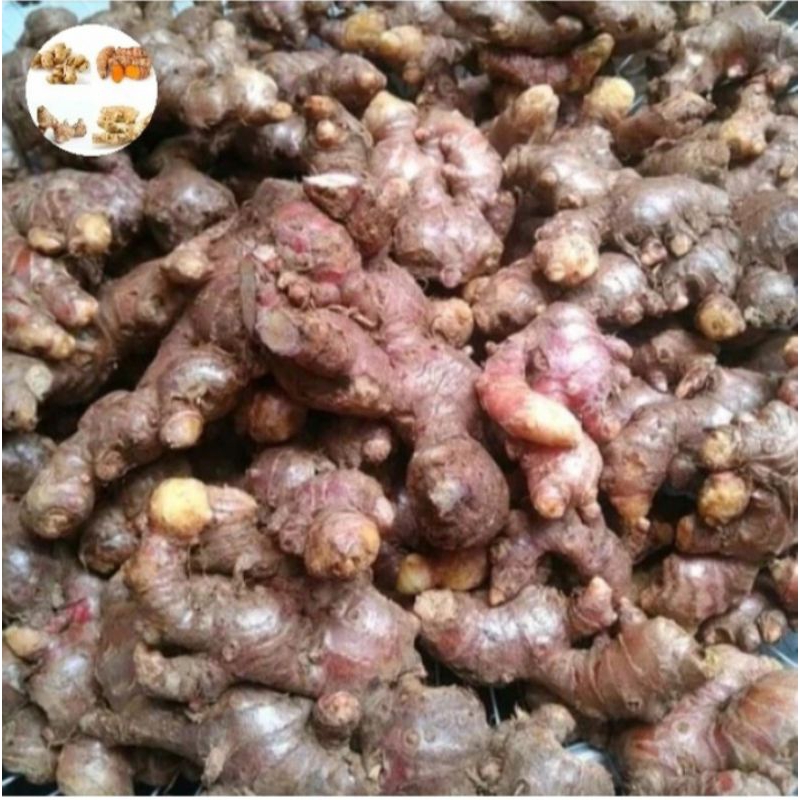 

Jahe Merah lokal Segar