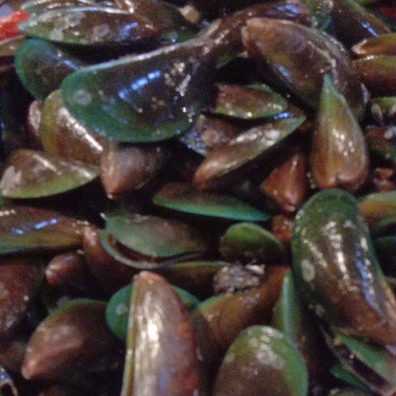 

kerang ijo segar 1kg