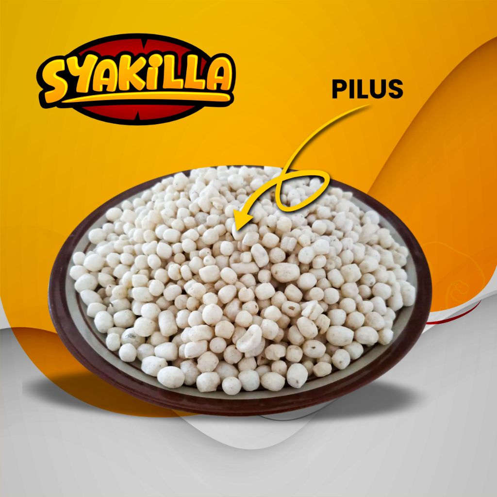 

pilus sukro cikur 1kg (s)