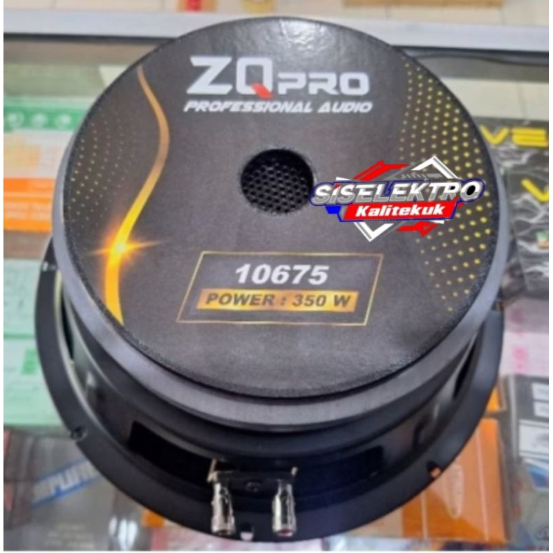 Speaker 10 Inch ZQ PRO 10675