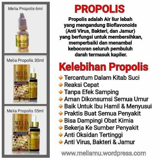PROPOLIS MELIA ASLI ORIGINAL 100% TERBAIK
