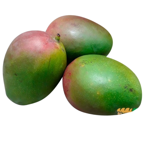 

MANGGA BRASIL 1kg
